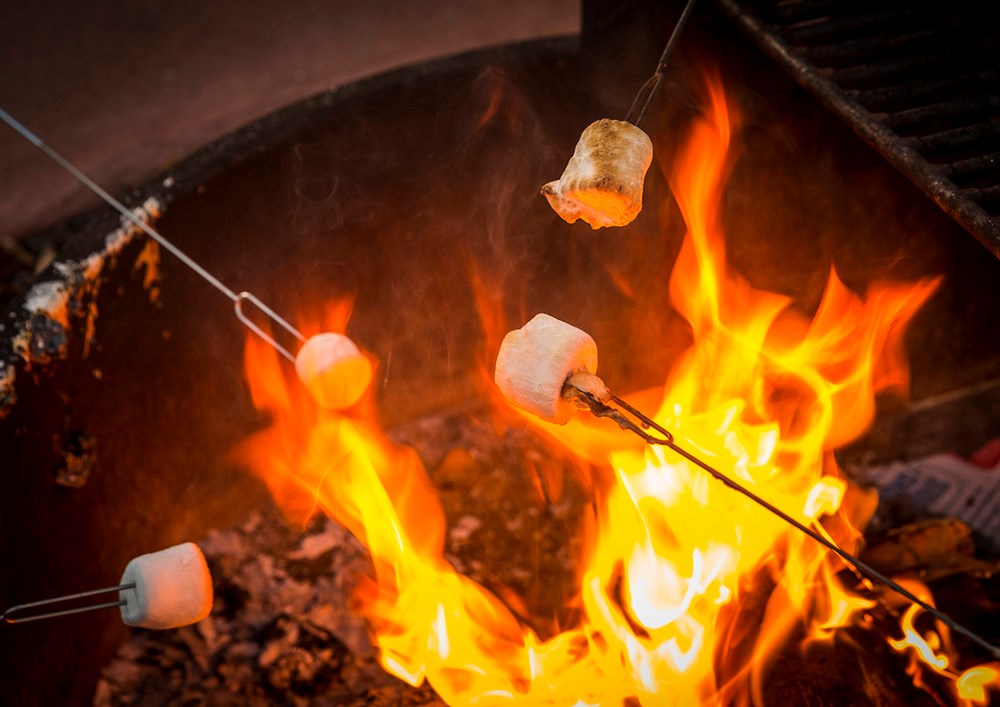 Campfire With Marshmallows The Orchards