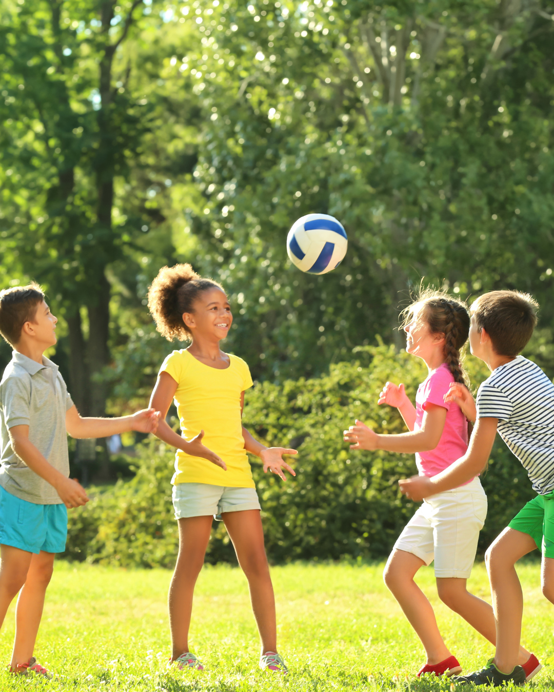 Volleyball Camp